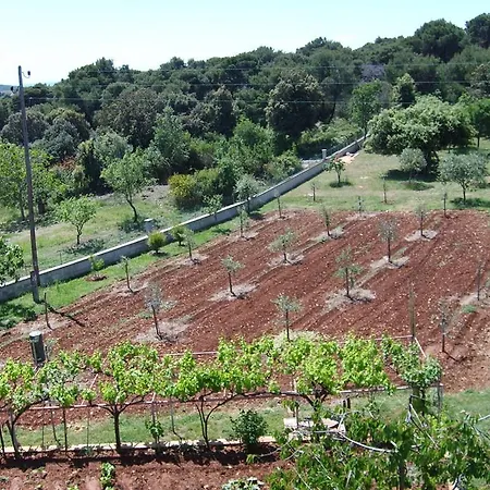 Apartment In - Istrien 11043 *